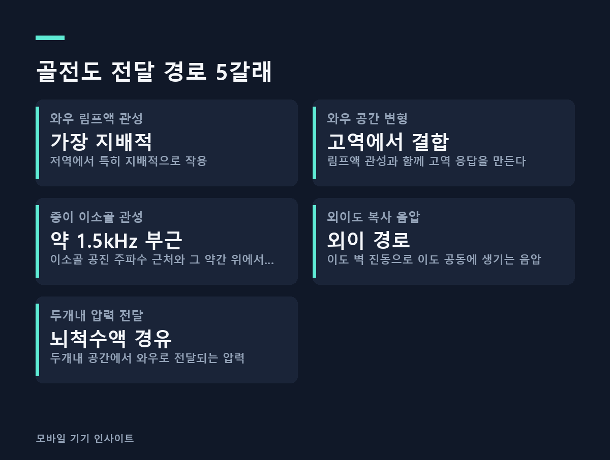 골전도 전달 경로 5갈래